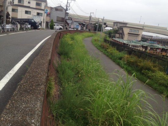 赤レンガの堤防