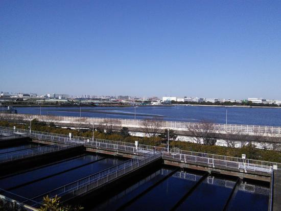 森ケ崎交通公園